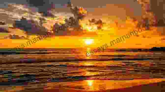 A Breathtaking Sunset Over The Bay, Casting A Golden Glow Bayside Desires (Bayside Summers 1)