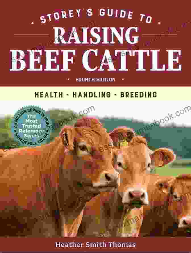 A Comprehensive Guide To Raising Beef Cattle, Featuring Best Practices And Expert Advice From The Storey Guide To Raising Beef Cattle 4th Edition. Storey S Guide To Raising Beef Cattle 4th Edition: Health Handling Breeding (Storey S Guide To Raising)