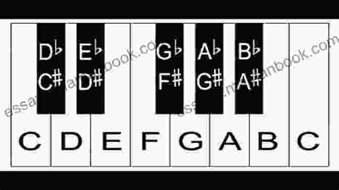 A Diagram Showing The Layout Of The Piano Keyboard, With The Black And White Keys Labeled. Essential Mantras Of The World: Piano Keyboard For Adult Beginners