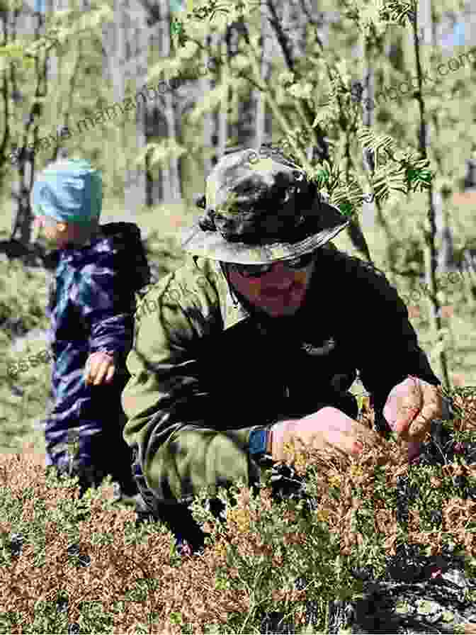 Blueberry Foraging With Kids: 52 Wild And Free Edibles To Enjoy With Your Children