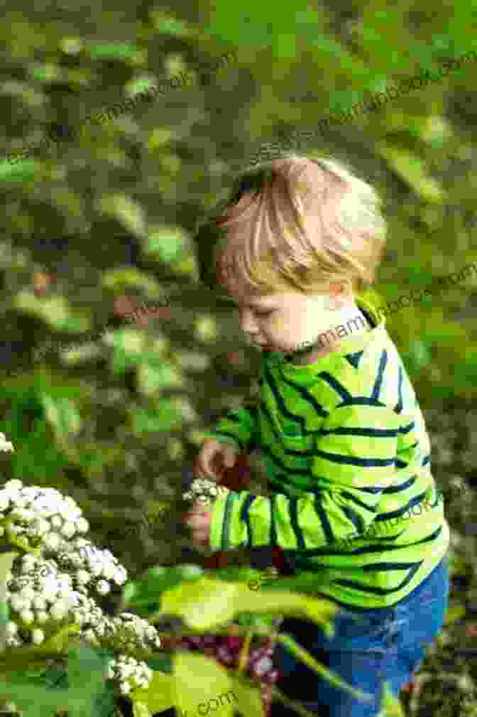 Elderflower Foraging With Kids: 52 Wild And Free Edibles To Enjoy With Your Children