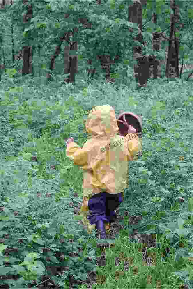 Ginger Root Foraging With Kids: 52 Wild And Free Edibles To Enjoy With Your Children