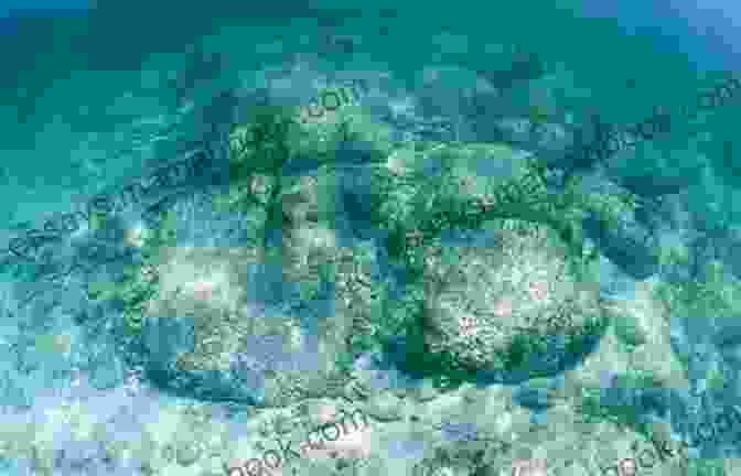 Image Of The Bimini Road Underwater Formation In The Bahamas, Showing Massive Rectangular Stone Blocks Aligned In Parallel Rows. Anomalies: Two In The Atlantis Connection