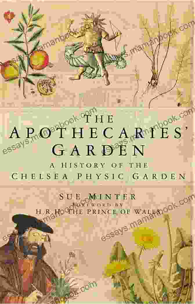 In The Apothecary's Garden By Mary Freeman Book Cover In The Apothacary S Garden Mary Freeman