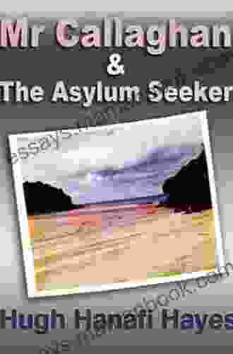 Mr Callaghan And The Asylum Seeker