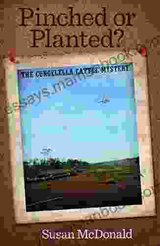 Pinched Or Planted The Cunjelella Cattle Mystery